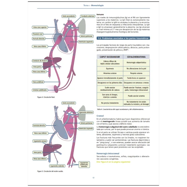 Manuales AMIR para ENARM — imagen 4