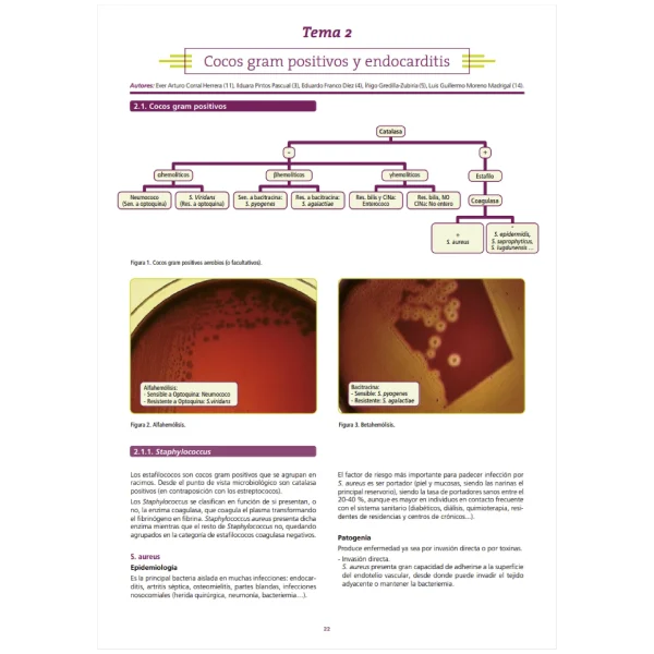 Manuales AMIR para ENARM — imagen 3